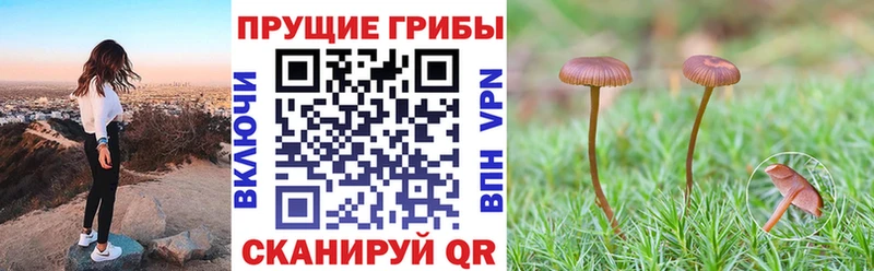 Псилоцибиновые грибы MAGIC MUSHROOMS  Купить где  Лабинск 